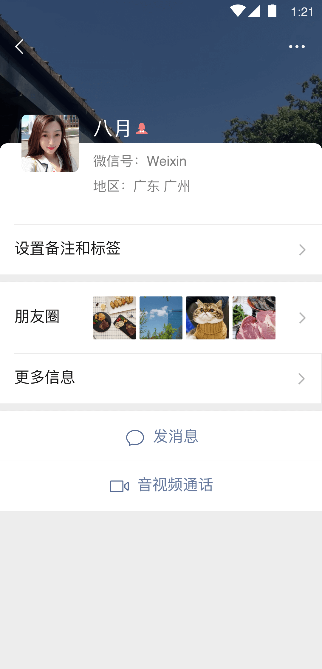 [公益] 合肥上海喵咪S招奴 attachment截图